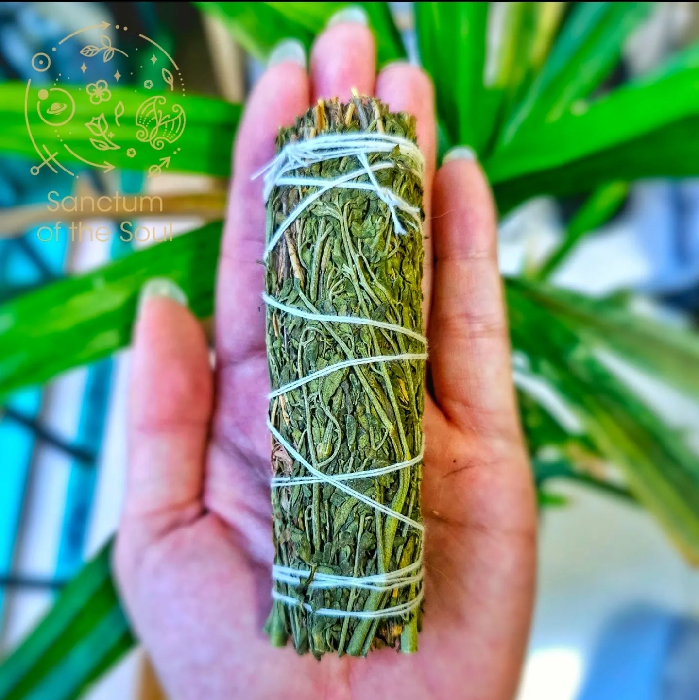 Arruda Rue Bundle