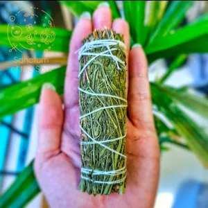 Arruda Rue Bundle