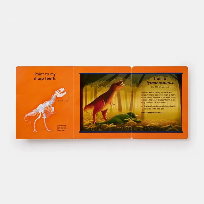 Phaidon | Who's That Dinosaur? An Animal Guessing Game